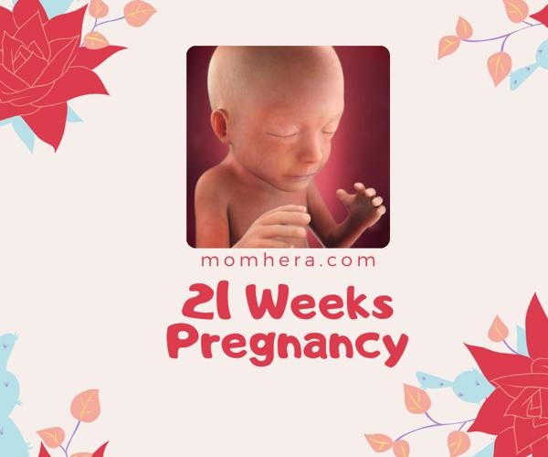 21 Weeks Pregnant