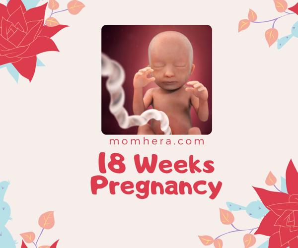 18 Weeks Pregnant
