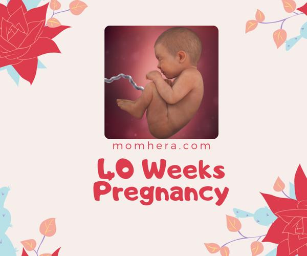 40 Weeks Pregnant