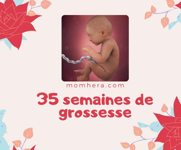 35 Semaines de Grossesse