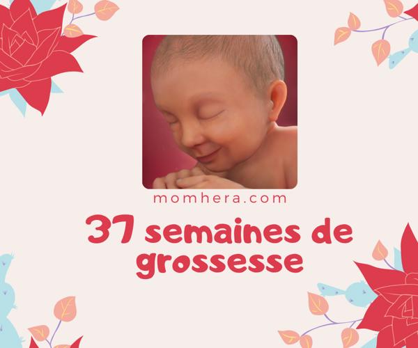 37ème Semaine de Grossesse