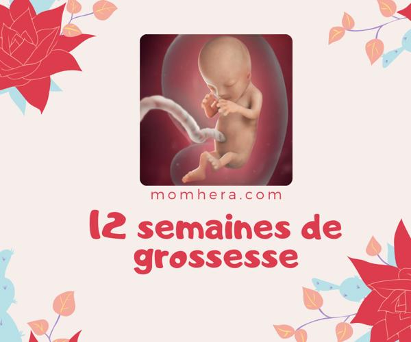 12ème Semaine de Grossesse
