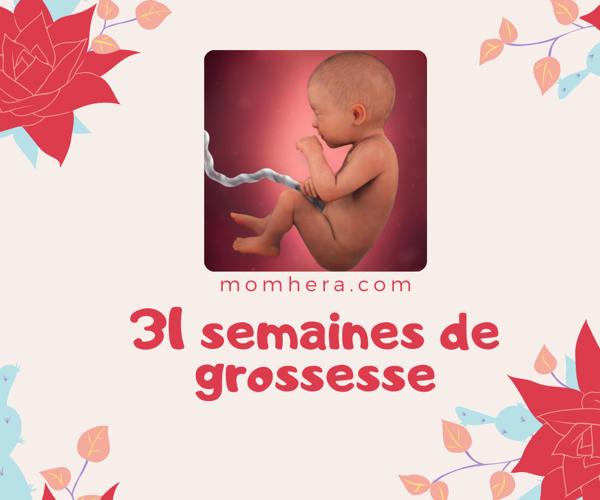 31ème Semaine de Grossesse