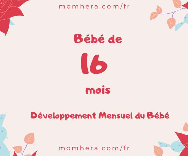 Bébé de 16 Mois