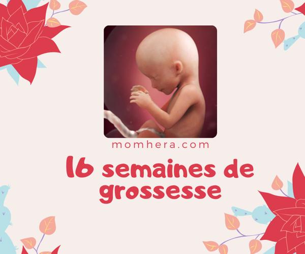 16ème Semaine de Grossesse