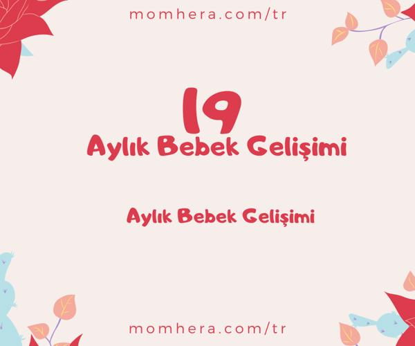 19 Aylık Bebek Gelişimi