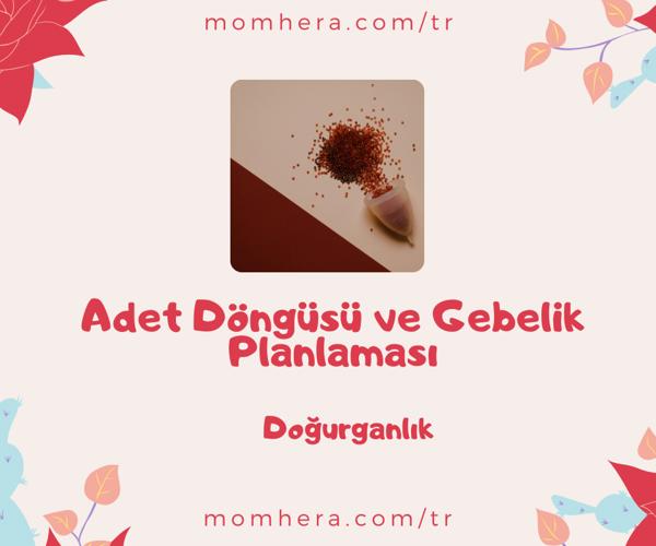 Adet Döngüsü ve Gebelik Planlaması: Doğru Zamanlama Neden Önemlidir?