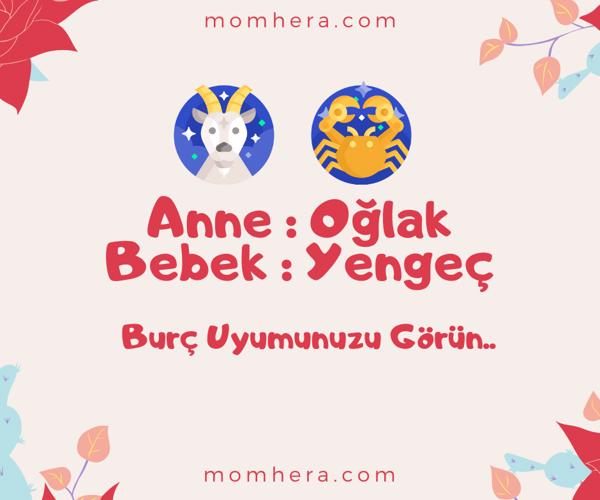 Oğlak Burcu Anne ve Yengeç Burcu Bebek Uyumu