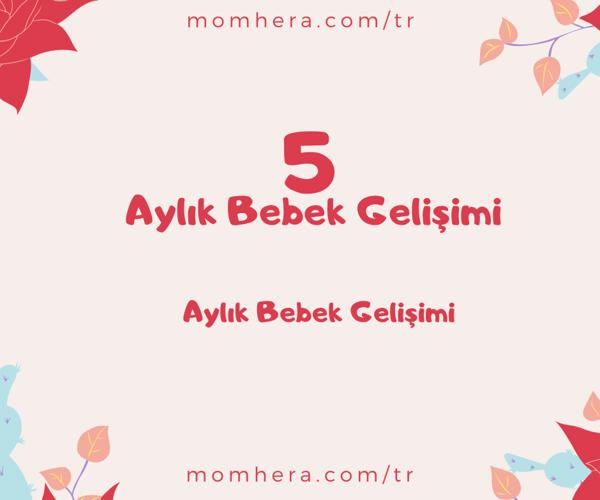 5 Aylık Bebek Gelişimi