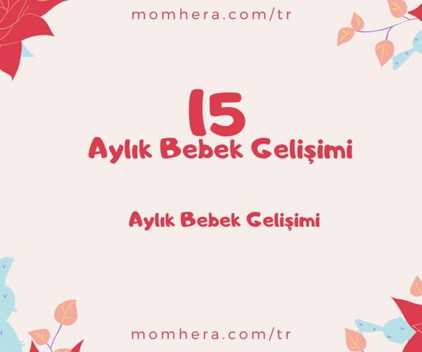 15 Aylık Bebek Gelişimi