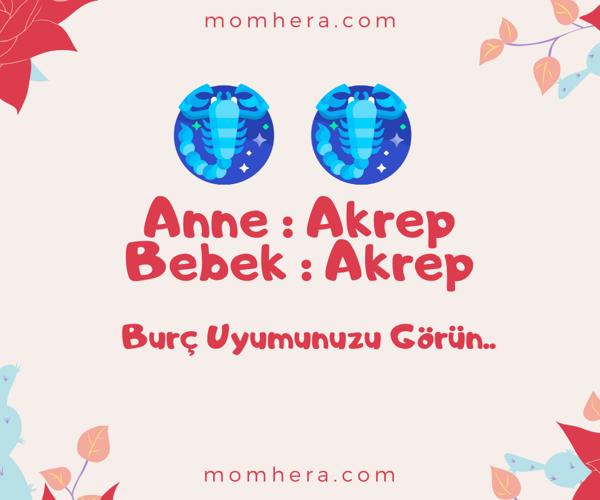 Anne Akrep Burcu - Bebek Akrep Burcu Uyumu