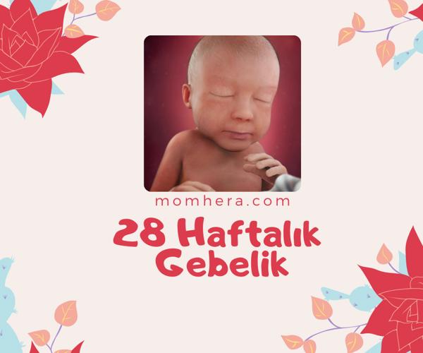 28 Haftalık Gebelik